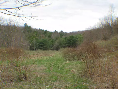 217 Settles Mountain Rd, Cobleskill, NY 12043 photo 25