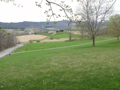 217 Settles Mountain Rd, Cobleskill, NY 12043 photo 22