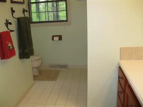 15 Bain Dr, Delmar, NY 12054 photo 18