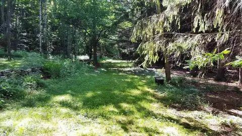 246 Bear Gulch Rd, Summit, NY 12175 photo 21