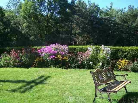 246 Bear Gulch Rd, Summit, NY 12175 photo 13
