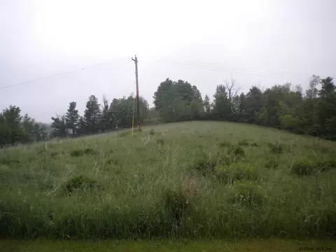 800 Mill Pond Rd, Sharon Springs, NY 13459 photo 9