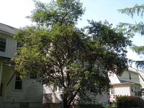 32 Bogart Ter, Albany, NY 12202 photo 16