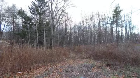 322 Spring Rd #322 SPRING RD., Delanson, NY 12053 photo 1