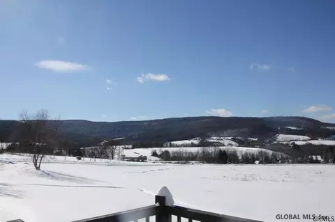 153 Dow St, Cobleskill, NY 12043 photo 22