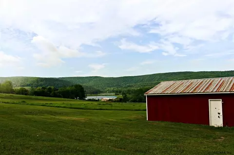 153 Dow St, Cobleskill, NY 12043 photo 17