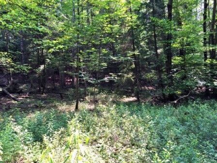 148 Roe Rd, Worcester, NY 12197 photo 12