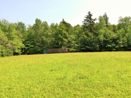 148 Roe Rd, Worcester, NY 12197 photo 9