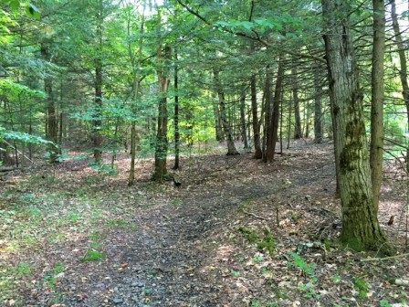 148 Roe Rd, Worcester, NY 12197 photo 6