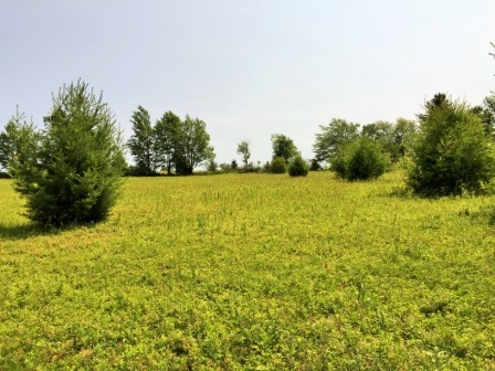 148 Roe Rd, Worcester, NY 12197 photo 8