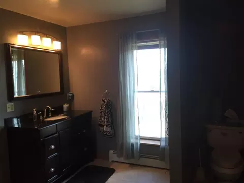 361 Ostrander Rd, Delanson, NY 12053 photo 13