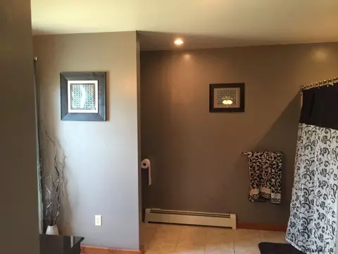 361 Ostrander Rd, Delanson, NY 12053 photo 12