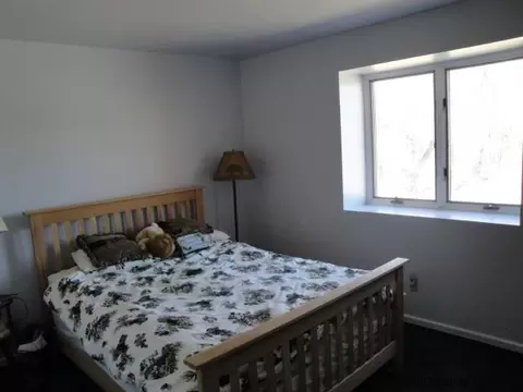237 Settles Mountain Rd, Cobleskill, NY 12043 photo 9