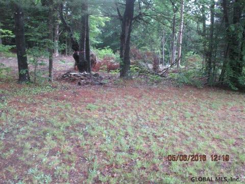 31 Coldbrook Ave, Hadley, NY 12835 photo 5