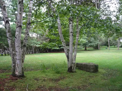 229 Elm Ave, Delmar, NY 12054 photo 14