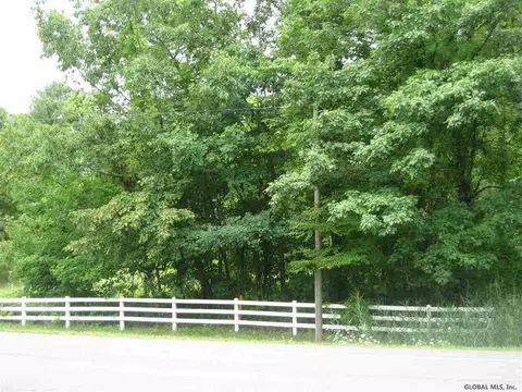 229 Elm Ave, Delmar, NY 12054 photo 3
