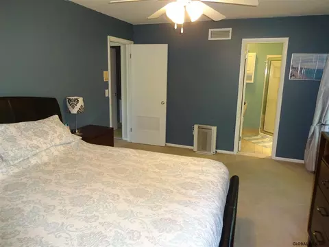 13 Spruce Ct, Delmar, NY 12054 photo 14