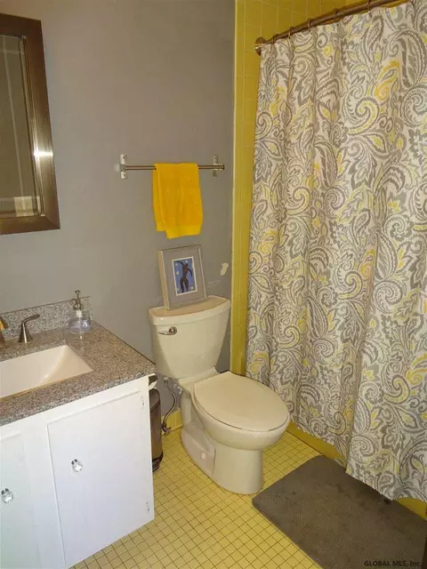 13 Spruce Ct, Delmar, NY 12054 photo 24