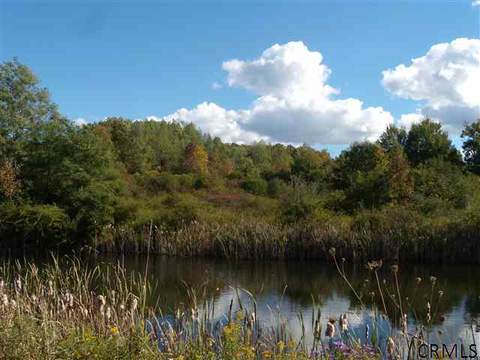 992 Johnson Rd, Schenectady, NY 12302 photo 2