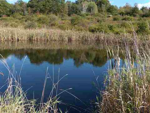 992 Johnson Rd, Schenectady, NY 12302 photo 5
