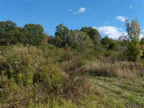 992 Johnson Rd, Schenectady, NY 12302 photo 10