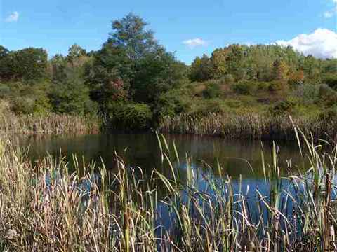 992 Johnson Rd, Schenectady, NY 12302 photo 3
