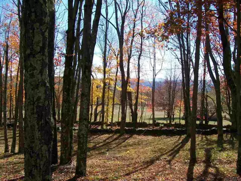 171 Gray Rd, Summit, NY 12175 photo 21