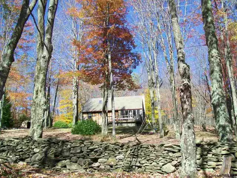171 Gray Rd, Summit, NY 12175 photo 2