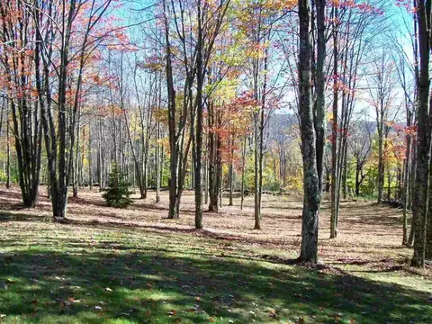 171 Gray Rd, Summit, NY 12175 photo 20