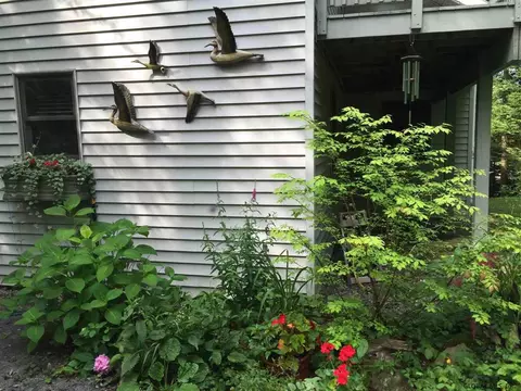 508 N Shore Rd, Gloversville, NY 12078 photo 4