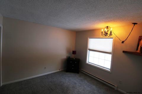 17 Oriole Ct, Saratoga Springs, NY 12866 photo 14