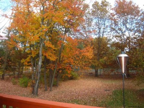 17 Oriole Ct, Saratoga Springs, NY 12866 photo 17