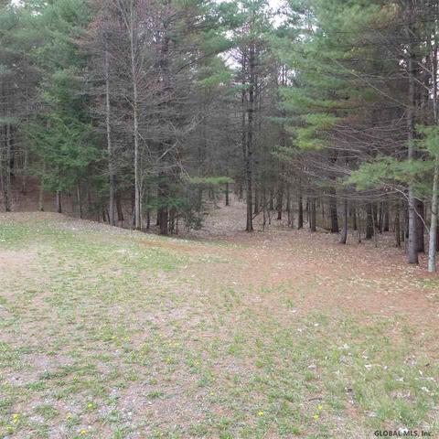 45 Folts Rd, Corinth, NY 12822 photo 6