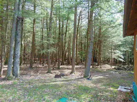 222 Davis Rd, Conesville, NY 12076 photo 10