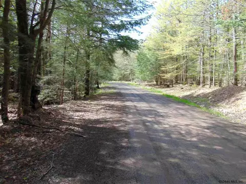 222 Davis Rd, Conesville, NY 12076 photo 14