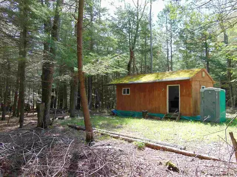 222 Davis Rd, Conesville, NY 12076 photo 1