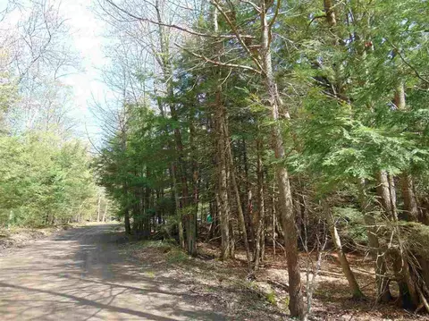 222 Davis Rd, Conesville, NY 12076 photo 17