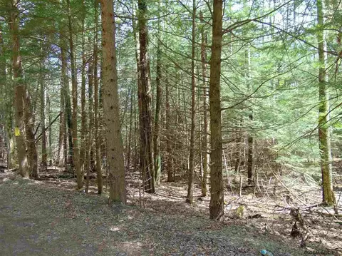 222 Davis Rd, Conesville, NY 12076 photo 18