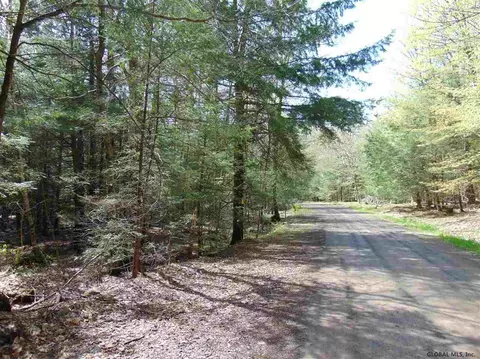 222 Davis Rd, Conesville, NY 12076 photo 15