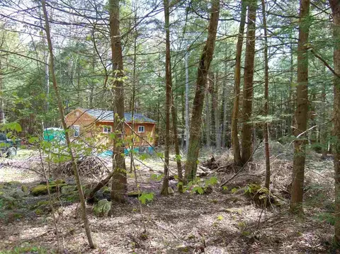 222 Davis Rd, Conesville, NY 12076 photo 4