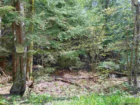 222 Davis Rd, Conesville, NY 12076 photo 12