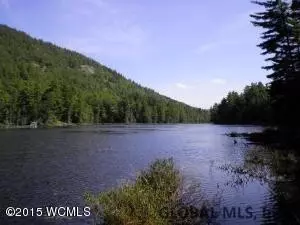 14 Mountain Path, Johnsburg, NY 12853 photo 3