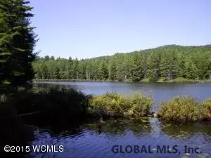 14 Mountain Path, Johnsburg, NY 12853 photo 4