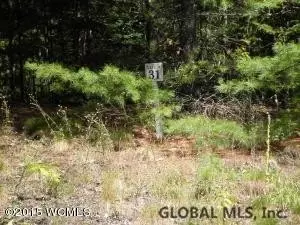 14 Mountain Path, Johnsburg, NY 12853 photo 7