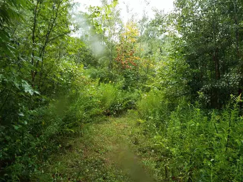182 Dugan Hill Rd, Wright, NY 12157 photo 6