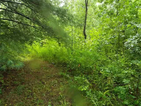 182 Dugan Hill Rd, Wright, NY 12157 photo 5