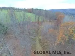 182 Dugan Hill Rd, Wright, NY 12157 photo 1