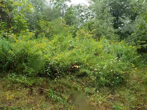 182 Dugan Hill Rd, Wright, NY 12157 photo 7