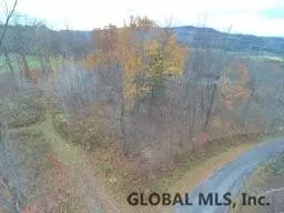 182 Dugan Hill Rd, Wright, NY 12157 photo 4