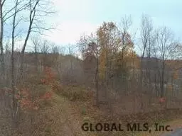 182 Dugan Hill Rd, Wright, NY 12157 photo 8